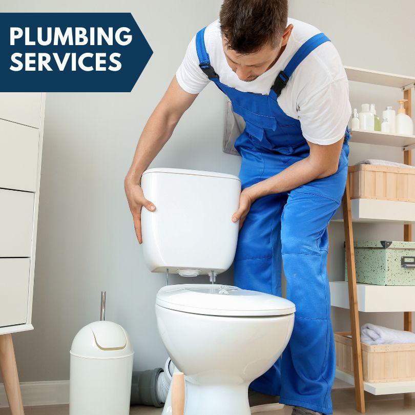 Plumbing Company in Edmore, MI