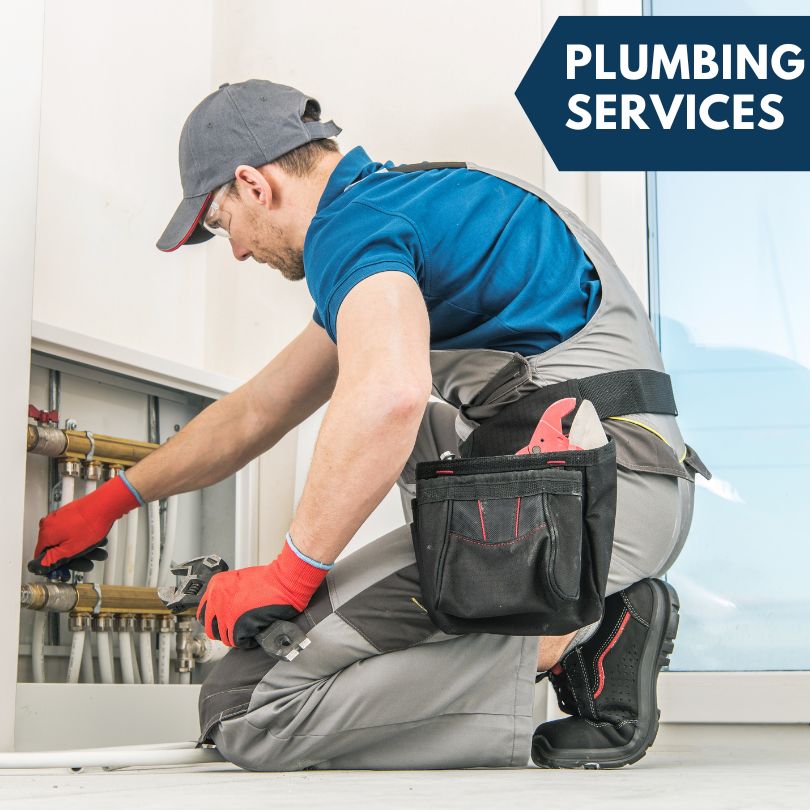 Edmore Plumbing Company